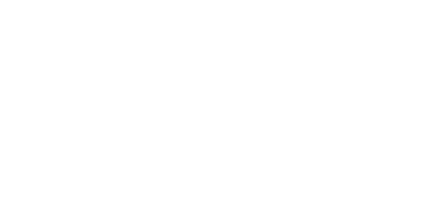 Wirtschaft plus